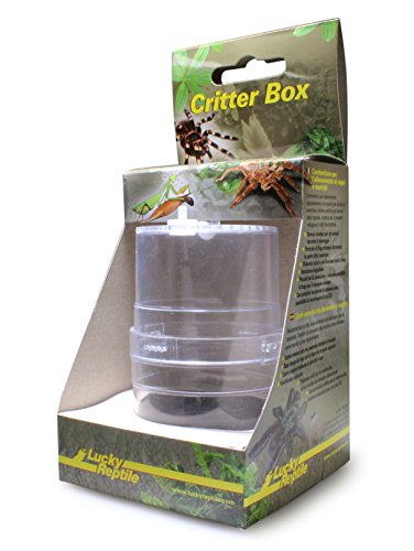 Lucky Reptile Critter Box, Aufzuchtdose für Vogelspinnen, Mantiden und Insekten, 6 x 11 cm von Lucky Reptile