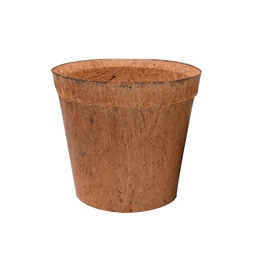 Lucky Reptile CP-M Coco Planter, mittel von Lucky Reptile