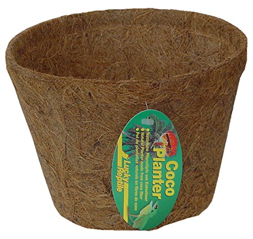 Lucky Reptile Coco Planter, Größe:Groß von Lucky Reptile