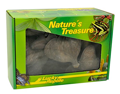 Lucky Reptile DB-01 Nature's Treasure Deko Box, Dekoration aus Naturmaterialien von Lucky Reptile