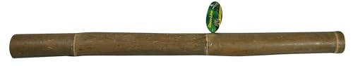 Lucky Reptile Bambusstange 1m, Durchmesser:bis 5 cm von Lucky Reptile