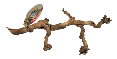 Lucky Reptile Rebholz, Größe:Klein von Lucky Reptile