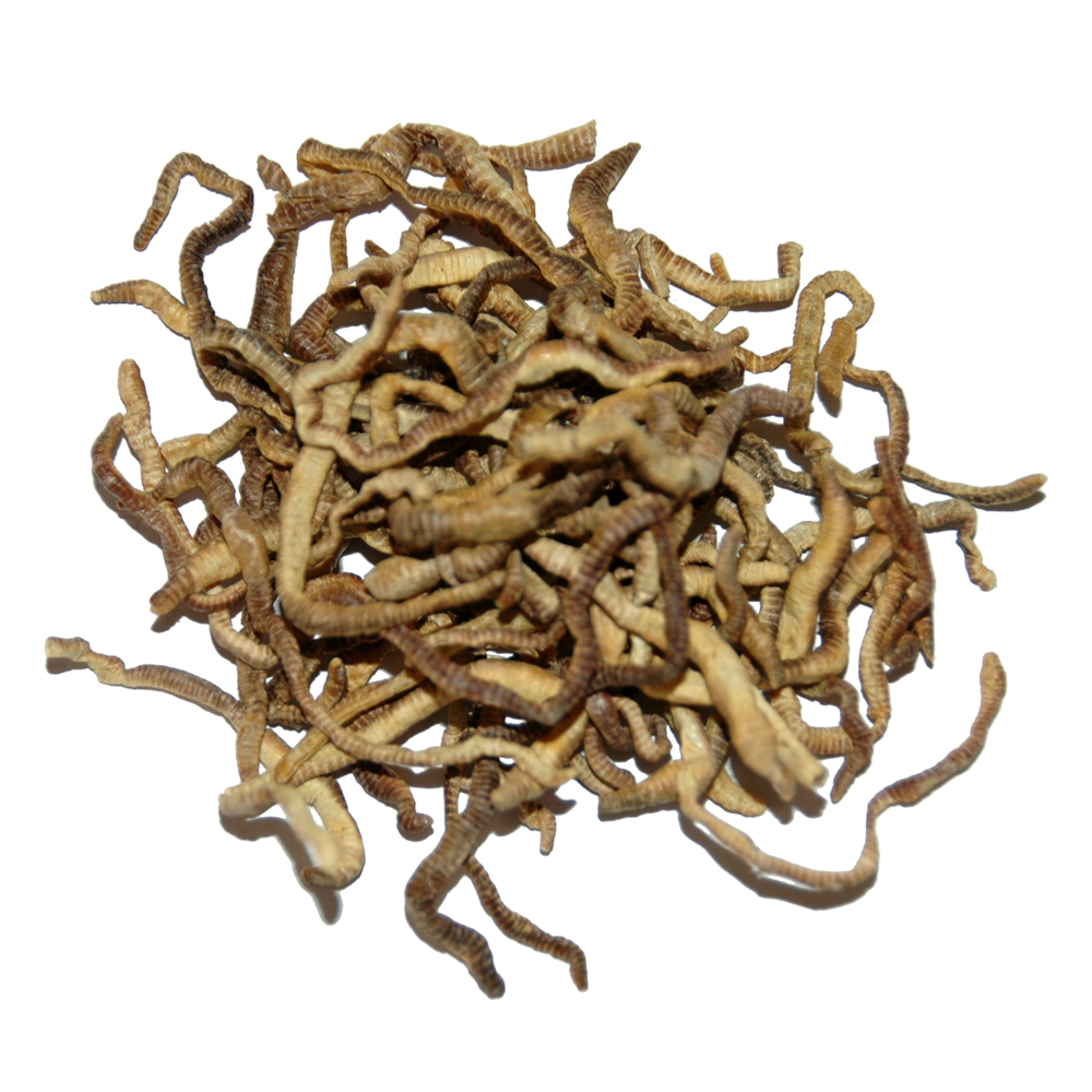 Lucky Reptile Earthworms - 10 g Lucky Reptile Earthworms - 10 g von Lucky Reptile