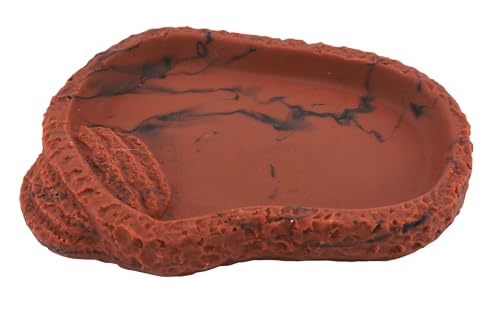 Lucky Reptile Food Dish, Farbe:Lava, Größe:Klein von Lucky Reptile