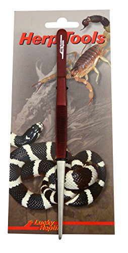 Lucky Reptile Futterpinzette, gerade, Länge:20 cm von Lucky Reptile