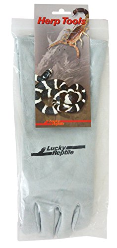 Lucky Reptile Schutzhandschuh grau, Variante:Linkshänder von Lucky Reptile
