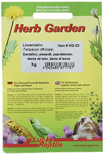 Lucky Reptile HG-03 Herb Garden - Löwenzahn, 3 g von Lucky Reptile