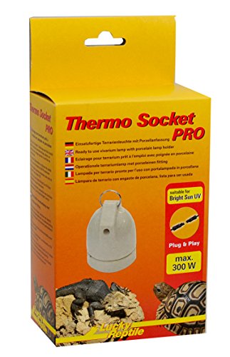 Lucky Reptile Thermo Socket PRO - Porzellanfassung hängend von Lucky Reptile