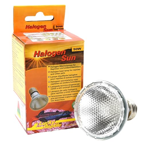 Lucky Reptile Halogen Sun - 50 W Wärmestrahler für E27-Fassungen - Halogenstrahler für Reptilien - Terrarium Lampe mit Tageslichtspektrum - Wärmelampe dimmbar - Zubehör Terrarium, 1 Stück (1er Pack) von Lucky Reptile