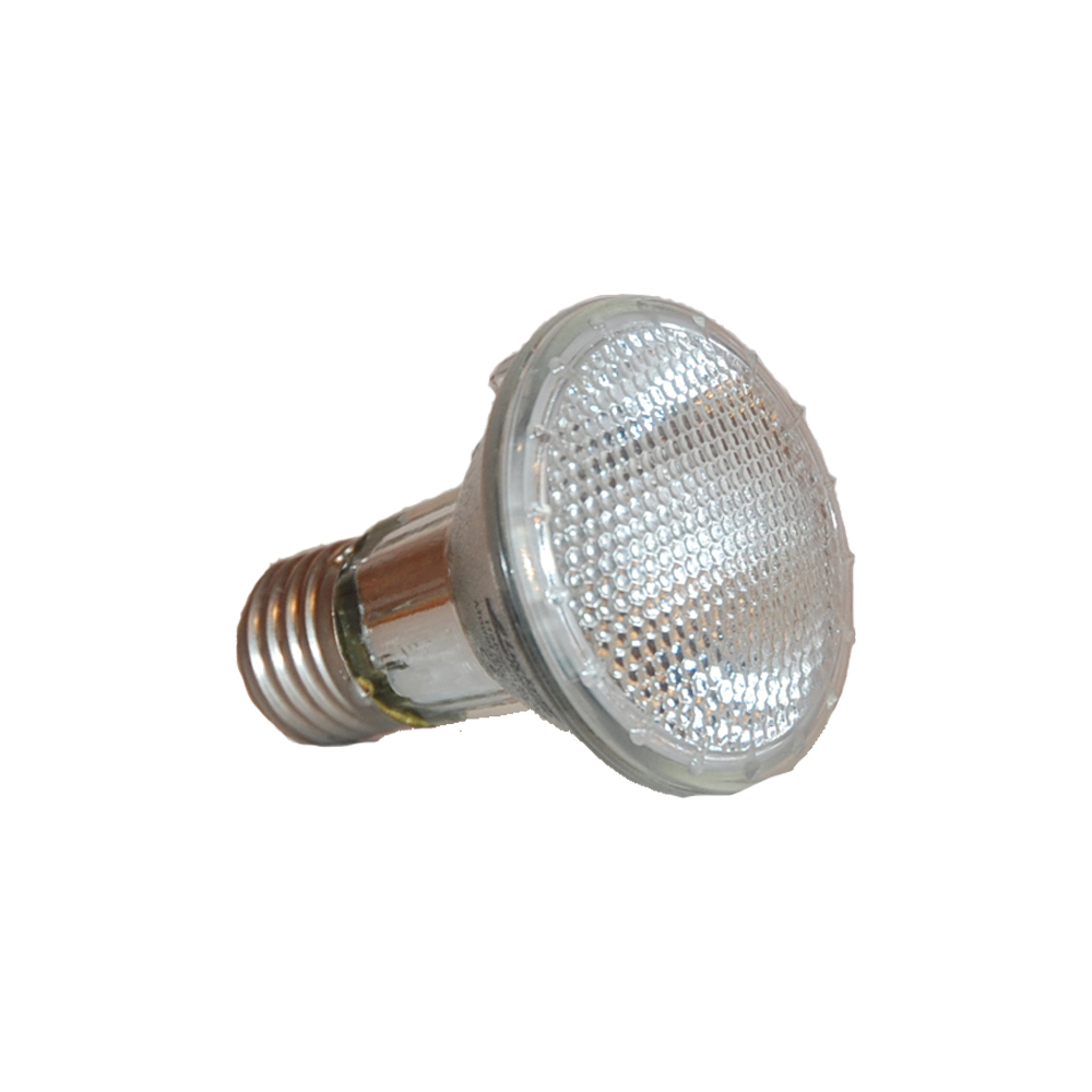 Lucky Reptile Halogen Sun - 75W Lucky Reptile Halogen Sun - 75W von Lucky Reptile