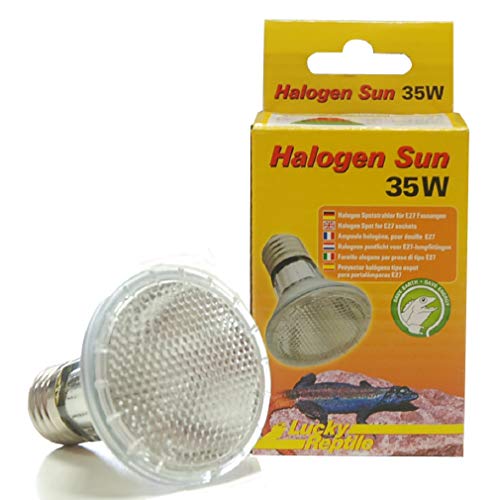 Lucky Reptile Halogen Sun Doppelpack - 35 W Wärmestrahler für E27-Fassungen - Halogenstrahler für Reptilien - Terrarium Lampe mit Tageslichtspektrum - Wärmelampe dimmbar - Zubehör Terrarium Lucky Reptile Halogen Sun Doppelpack - 35 W Wärmestrahler für E27-Fassungen - Halogenstrahler für Reptilien - Terrarium Lampe mit Tageslichtspektrum - Wärmelampe dimmbar - Zubehör Terrarium von Lucky Reptile