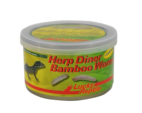 Lucky Reptile Herp Diner Bamboo Worms von Lucky Reptile