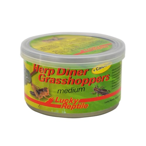 Lucky Reptile Herp Diner Grasshoppers, Größe:Mittel Lucky Reptile Herp Diner Grasshoppers, Größe:Mittel von Lucky Reptile