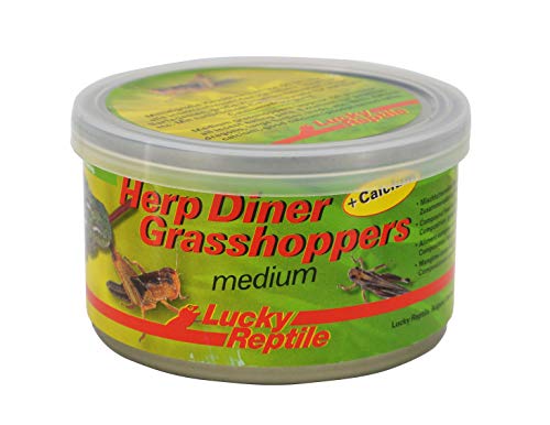 Lucky Reptile Herp Diner - Grasshoppers mittel 35 g, ca. 60 mittlere gekochte Heuschrecken von Lucky Reptile