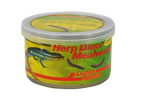 Lucky Reptile Herp Diner - Mealworms 35 g, Mehlwürmer mit Calciumzusatz für alle insektenfressenden Heimtiere von Lucky Reptile