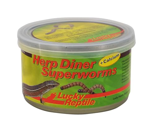 Lucky Reptile Herp Diner Superworms Lucky Reptile Herp Diner Superworms von Lucky Reptile