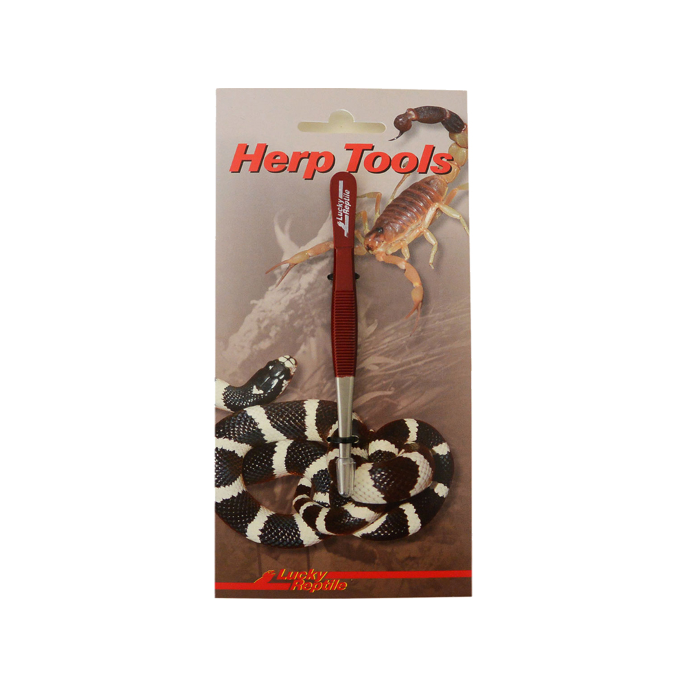 Lucky Reptile Herp Tools Pinzette - 30 cm von Lucky Reptile