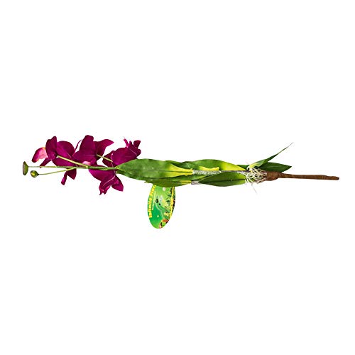 Lucky Reptile IF-05 Steck-Orchidee Circa 40 cm, L, lila von Lucky Reptile