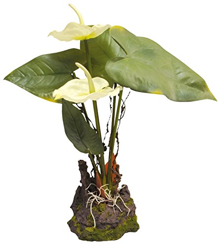 Lucky Reptile IF-31 Anthurium, Kunststoffpflanze / Plastikpflanze mit Fuß, weiß Lucky Reptile IF-31 Anthurium, Kunststoffpflanze / Plastikpflanze mit Fuß, weiß von Lucky Reptile