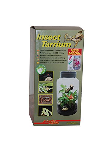 Lucky Reptile IT-5 InsectTarrium 5 l, Pet Kleinterrarium für den ersten Einstieg in die Terraristik von Lucky Reptile