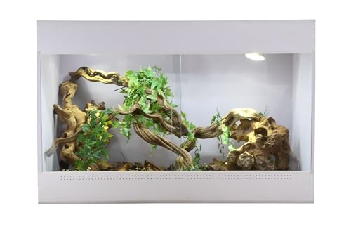 Lucky Reptile IsoTarrium Basic, Terrarienmaße (B/T/H):80 x 50 x 50 cm Lucky Reptile IsoTarrium Basic, Terrarienmaße (B/T/H):80 x 50 x 50 cm von Lucky Reptile