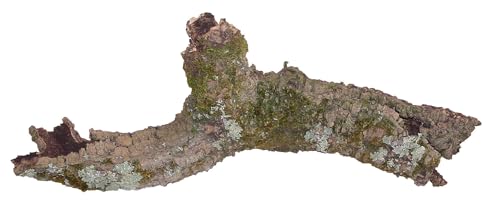Lucky Reptile Kork Rustica Mix von Lucky Reptile