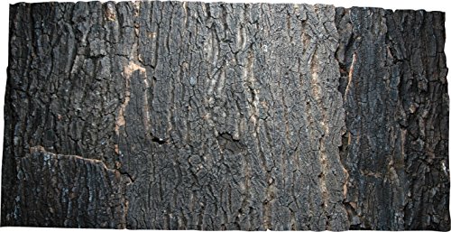 Lucky Reptile Korkrückwand "Dark" , Rückwand für Terrarium, ca. 280 x 273 mm von Lucky Reptile