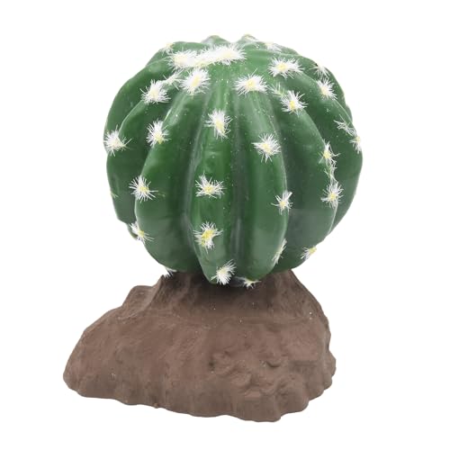 Lucky Reptile Kugelkaktus Lucky Reptile Kugelkaktus von Lucky Reptile