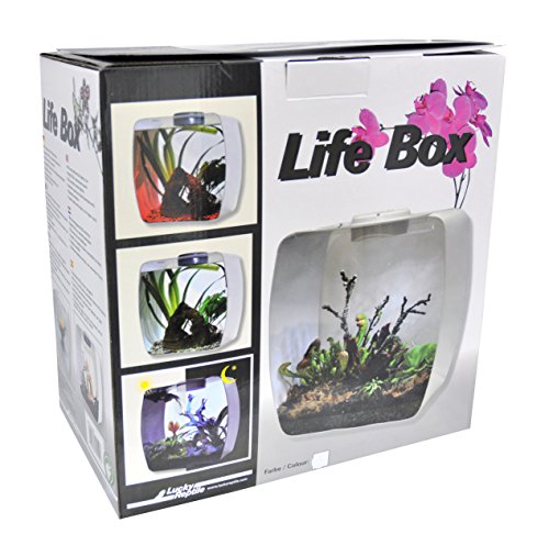 Lucky Reptile Life Box, Größe:30x18x30 cm. Farbe Weiß von Lucky Reptile