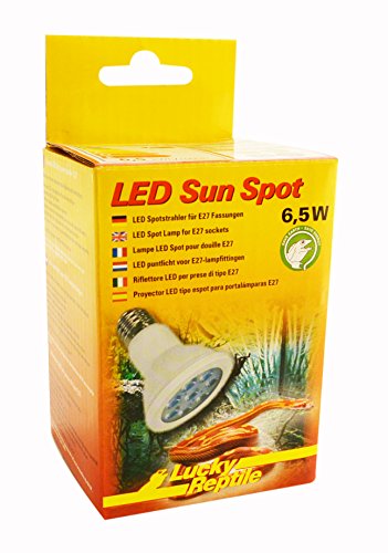 Lucky Reptile LED Sun Spot 6,5 Watt - LED Lampe für E27 Fassungen - Terrarium Lampe mit beeindruckender Lichtleistung - Lampe für Terrarien - Terrarium Beleuchtung 1 Stück Lucky Reptile LED Sun Spot 6,5 Watt - LED Lampe für E27 Fassungen - Terrarium Lampe mit beeindruckender Lichtleistung - Lampe für Terrarien - Terrarium Beleuchtung 1 Stück von Lucky Reptile