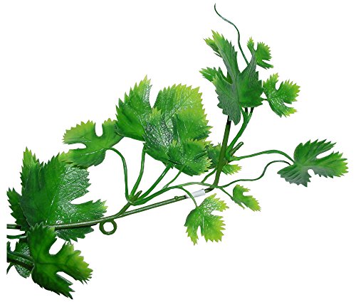 Lucky Reptile Rankenpflanze Wilder Wein Lucky Reptile Rankenpflanze Wilder Wein von Lucky Reptile