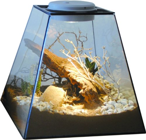Lucky Reptile Life Pyramide Designer-Terrarium, Größe:30x30x30 cm. Halogen von Lucky Reptile