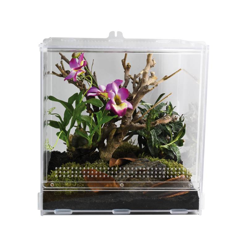 Lucky Reptile LifeTarrium Lucky Reptile LifeTarrium von Lucky Reptile