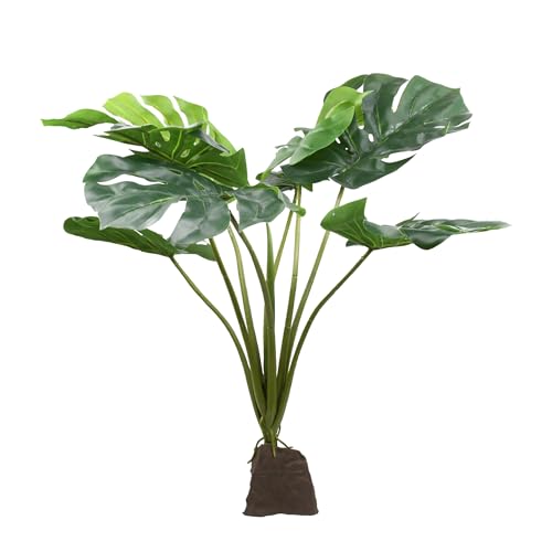 Lucky Reptile Monstera Lucky Reptile Monstera von Lucky Reptile