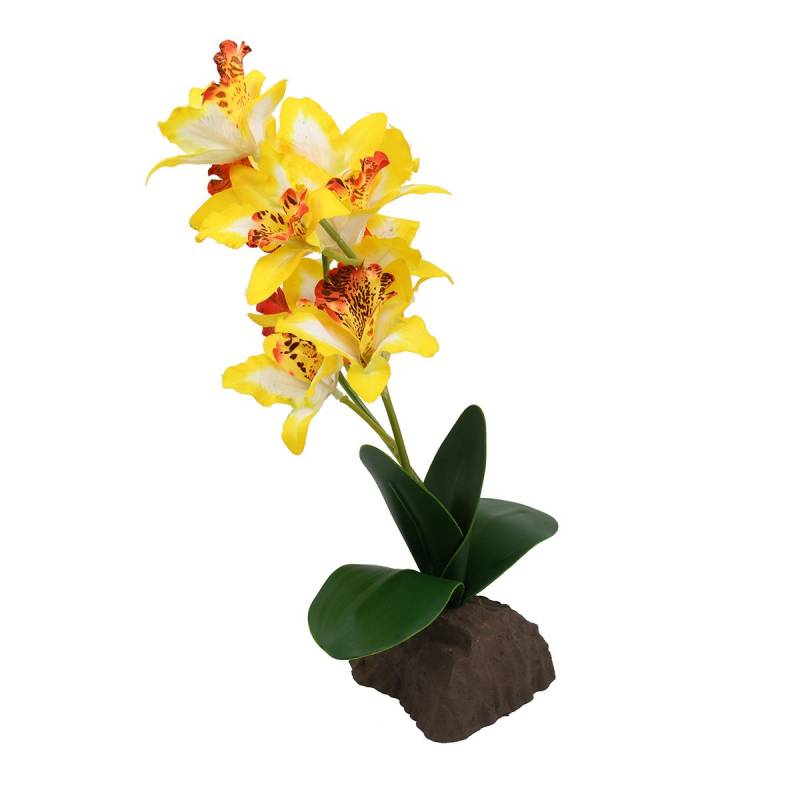 Lucky Reptile Orchidee groß gelb 35 cm von Lucky Reptile