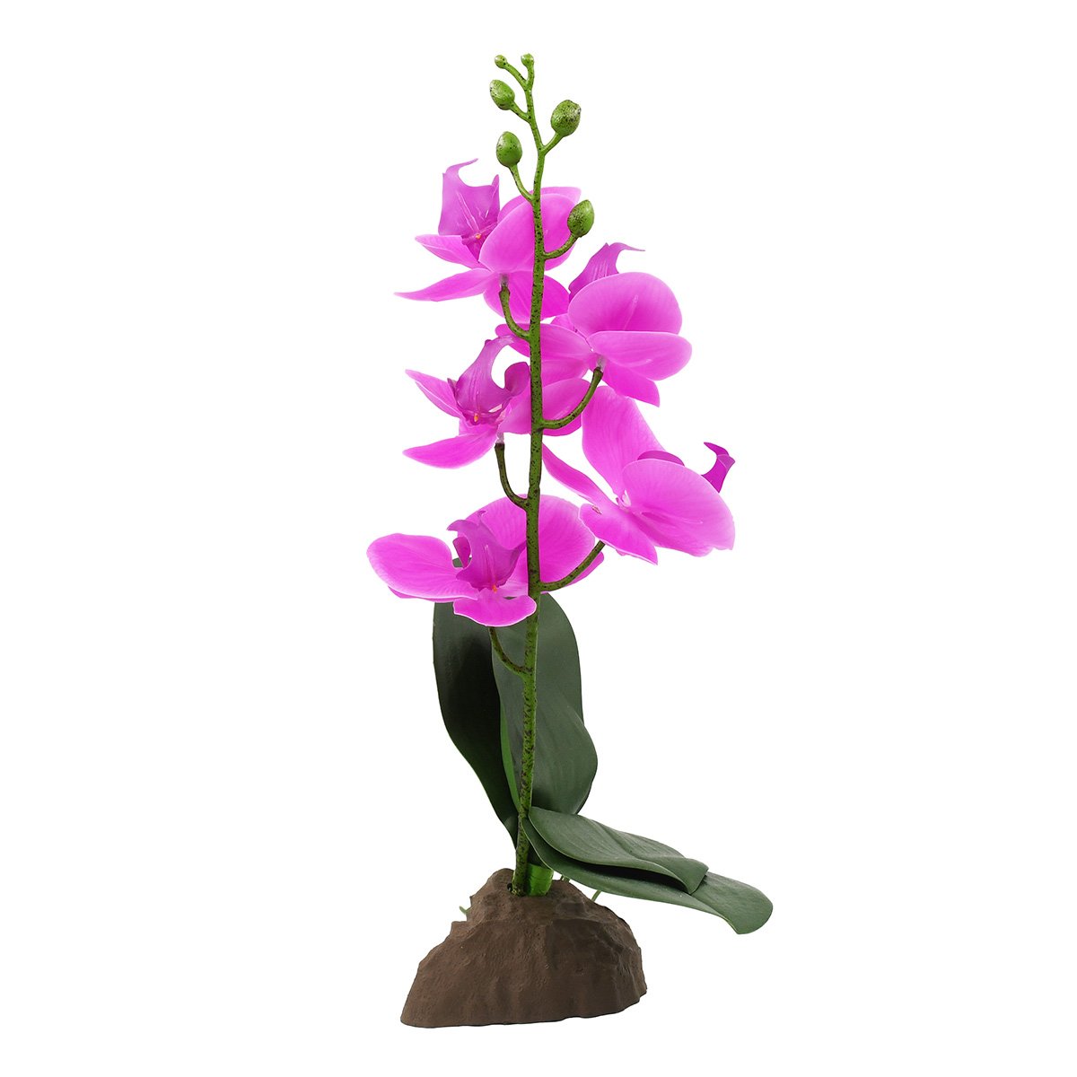 Lucky Reptile Orchidee klein lila 35 cm von Lucky Reptile