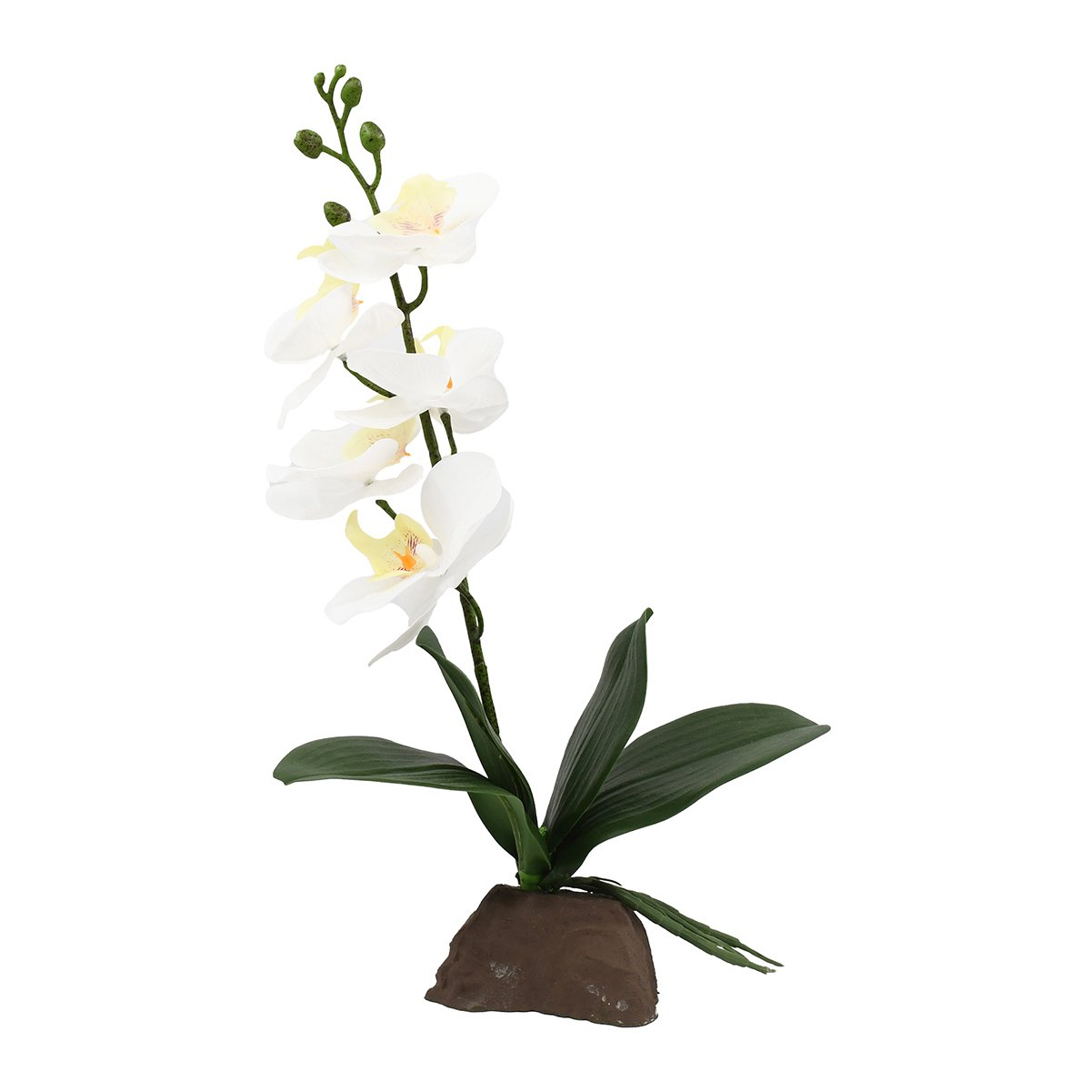 Lucky Reptile Orchidee klein weiß 35 cm von Lucky Reptile