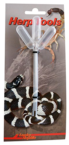 Lucky Reptile PP-3 Plastikpipetten, 3 Stück von Lucky Reptile