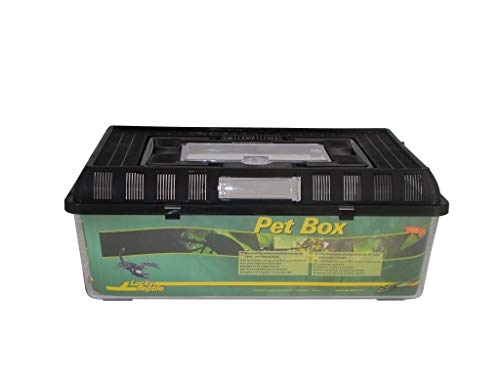 Lucky Reptile Pet Box groß, Circa 42x26x16 cm von Lucky Reptile