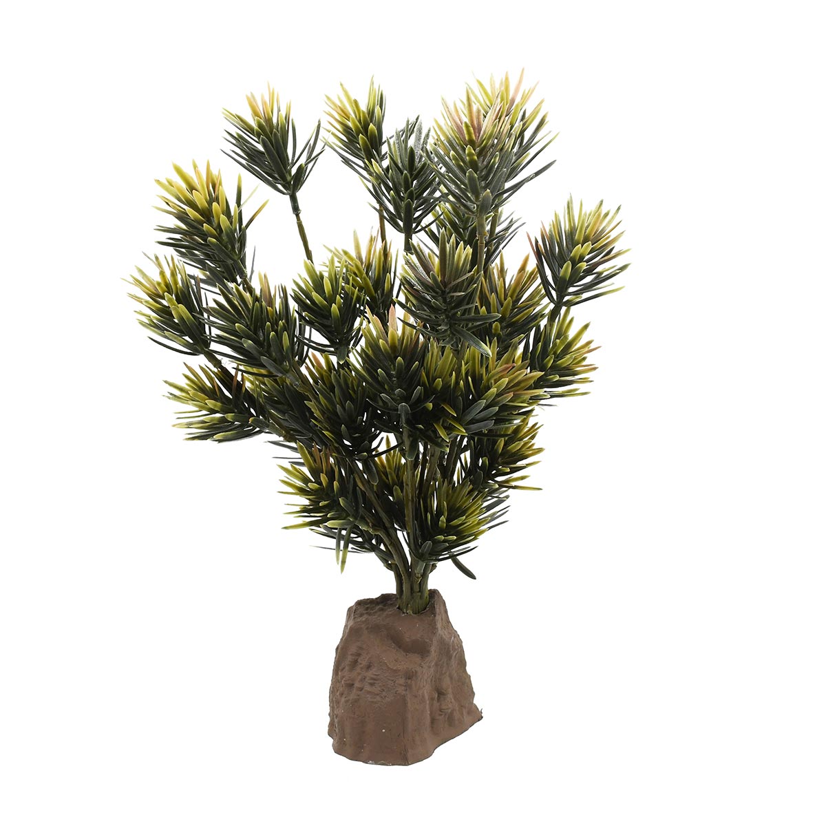 Lucky Reptile Podocarpus Pflanze 40 cm von Lucky Reptile