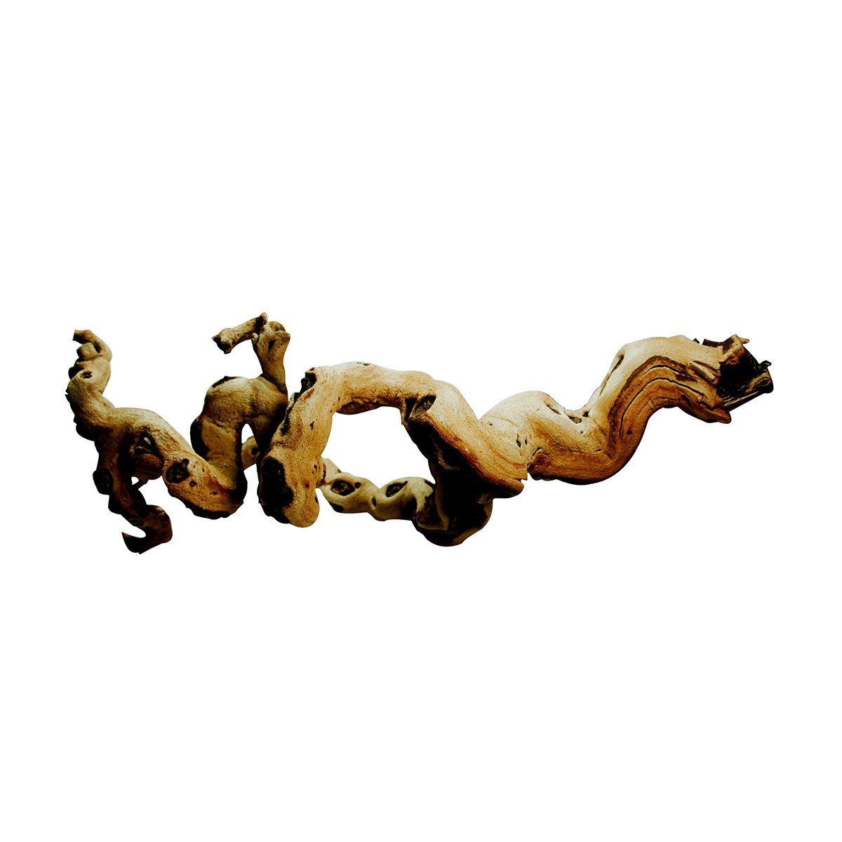Lucky Reptile Premium Rebholz L 50-80cm von Lucky Reptile