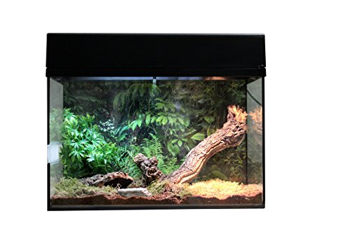 Lucky Reptile - Spinne & Skorpion Starter Kit 50 cm - Vogelspinnen Terrarium Komplettset - hochwertiges Terrarium Kit inkl Zubehör für Einsteiger - Starter Set Spinnen und Skorpione in schwarz von Lucky Reptile