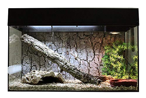 Lucky Reptile Schlangen Starter Kit 80 cm - hochwertiges Schlangen Terrarium Komplettset für die Aufzucht und Dauerhaltung von kleinen Schlangen - Starter Set Schlangen für Einsteiger in schwarz von Lucky Reptile