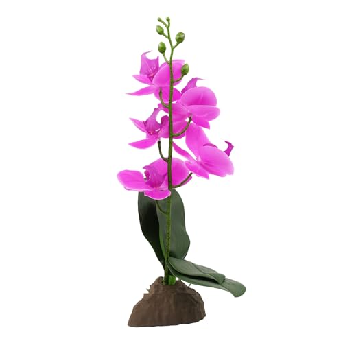 Lucky Reptile Scape it Easy - Orchidee klein lila ca. 35 cm - Dekopflanze für Terrarien Lucky Reptile Scape it Easy - Orchidee klein lila ca. 35 cm - Dekopflanze für Terrarien von Lucky Reptile
