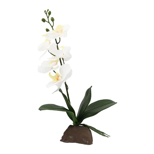 Lucky Reptile Scape it Easy - Orchidee klein weiß ca. 35 cm - Dekopflanze für Terrarien Lucky Reptile Scape it Easy - Orchidee klein weiß ca. 35 cm - Dekopflanze für Terrarien von Lucky Reptile