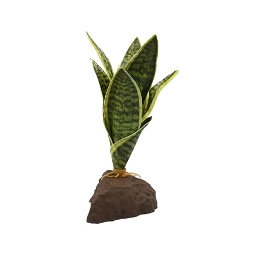 Lucky Reptile Scape it Easy - Sanseviera ca. 20 cm - Dekopflanze für Terrarien Lucky Reptile Scape it Easy - Sanseviera ca. 20 cm - Dekopflanze für Terrarien von Lucky Reptile