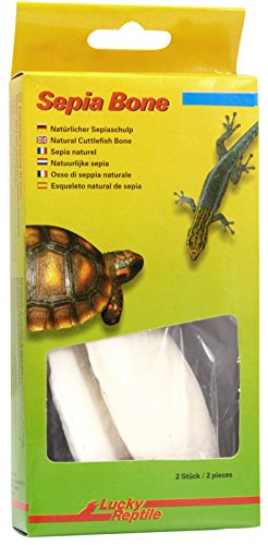 Lucky Reptile Sepia Bone, Größe:S - Doppelpack (< 16cm) von Lucky Reptile