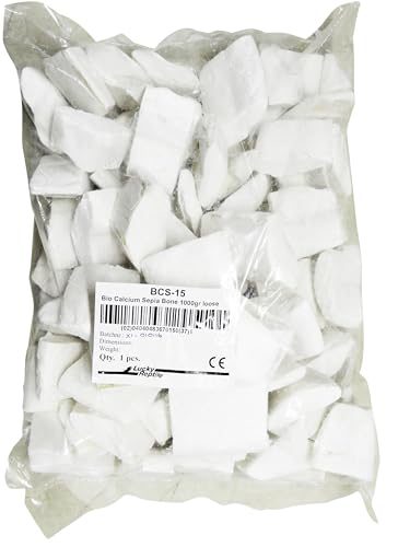 Lucky Reptile Sepia Bone 1 kg lose von Lucky Reptile