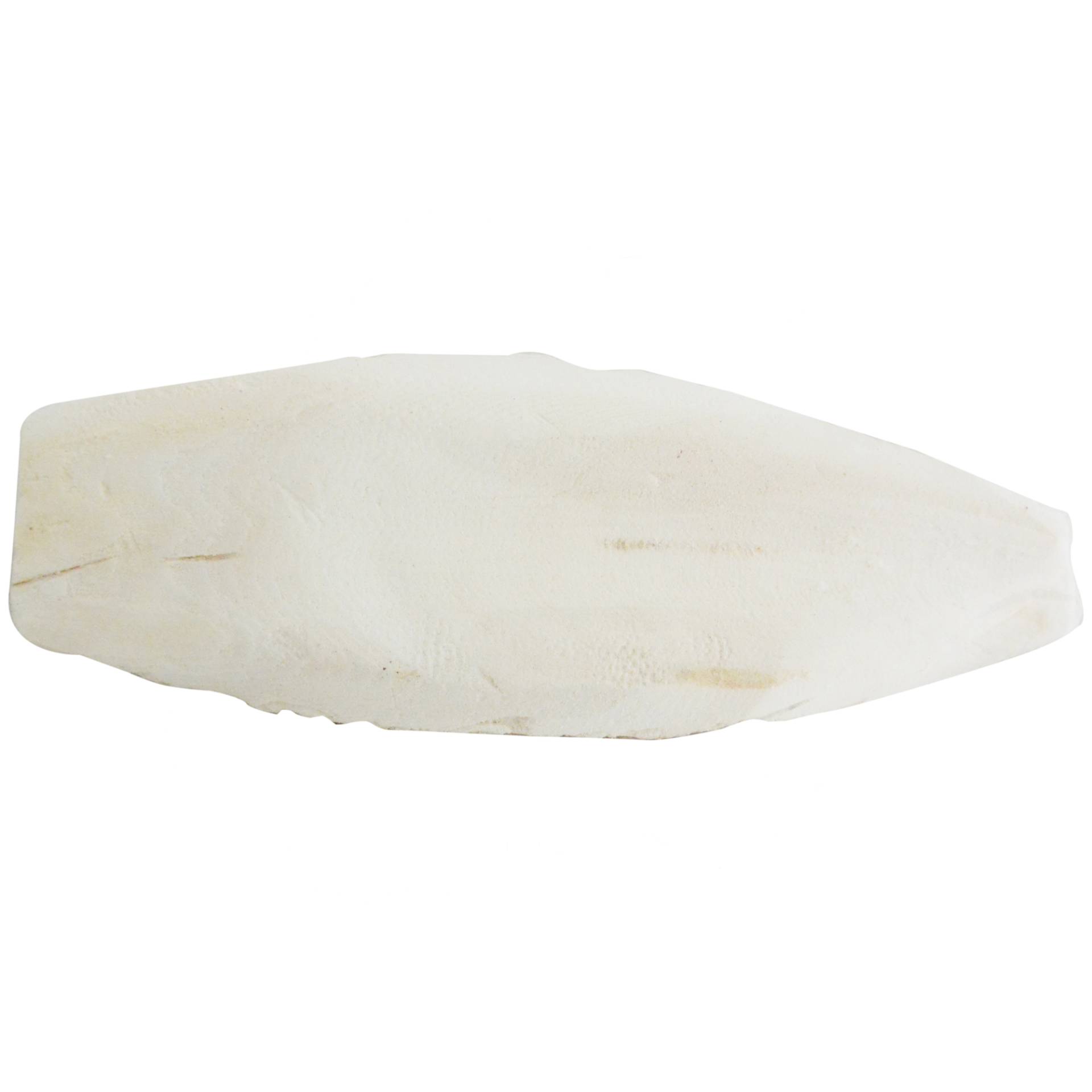 Lucky Reptile Sepia Bone Lucky Reptile Sepia Bone von Lucky Reptile