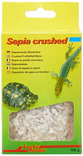Lucky Reptile Sepia Crushed von Lucky Reptile